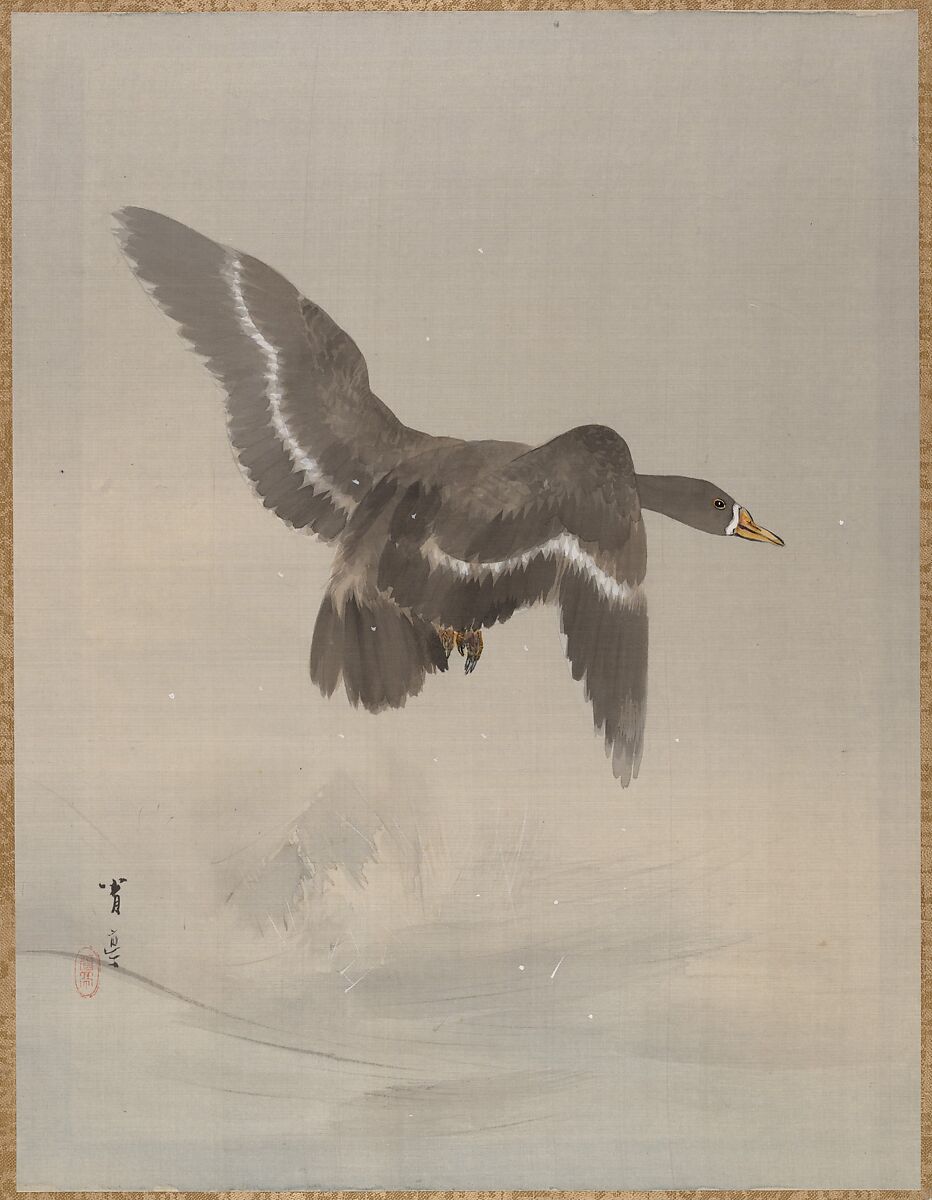 Flying Goose, Watanabe Seitei (Japanese, 1851–1918), Album leaf; ink and color on silk, Japan 
