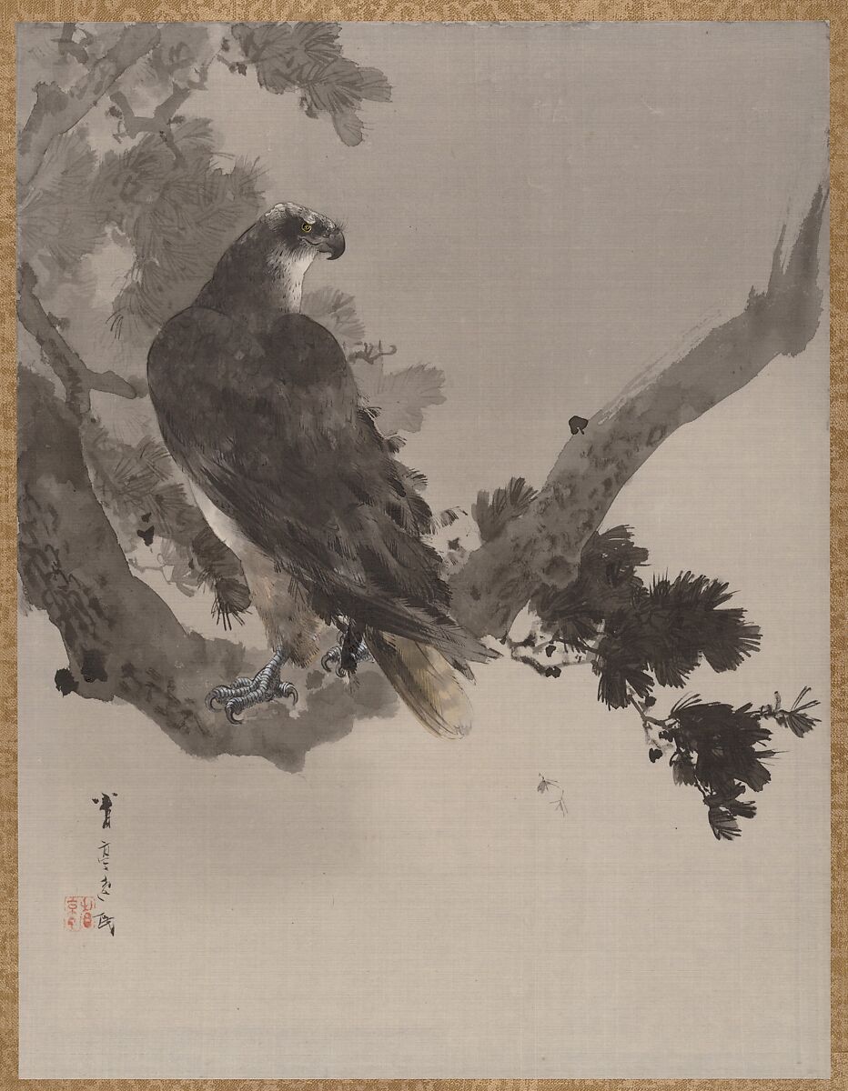 Eagle in a Tree, Watanabe Seitei (Japanese, 1851–1918), Album leaf; ink and color on silk, Japan 