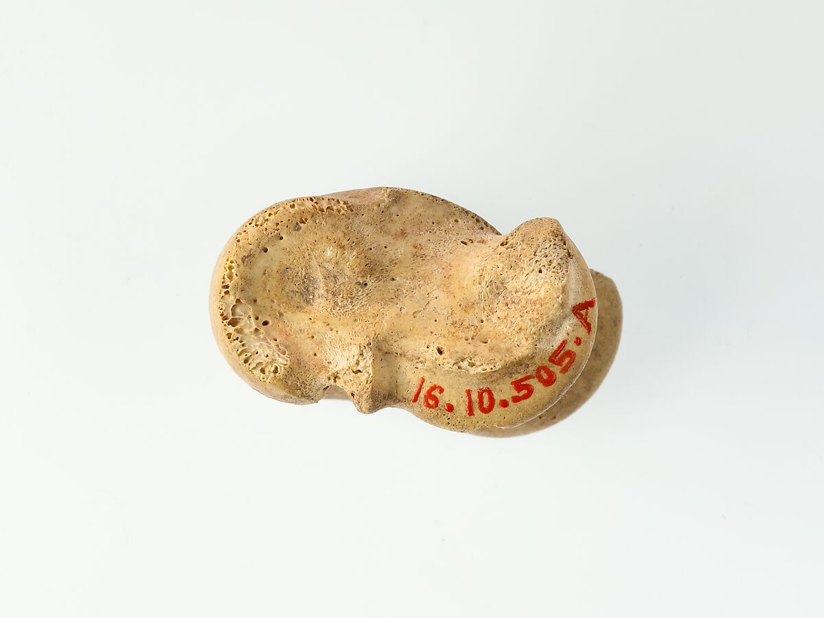 Three Knuckle bone Gaming Pieces, Bone