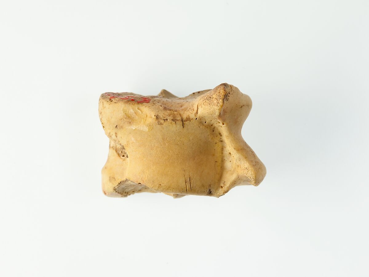 Three Knuckle bone Gaming Pieces, Bone
