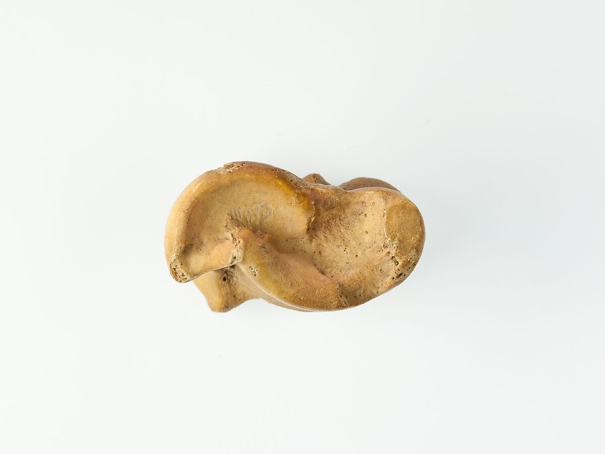 Three Knuckle bone Gaming Pieces, Bone