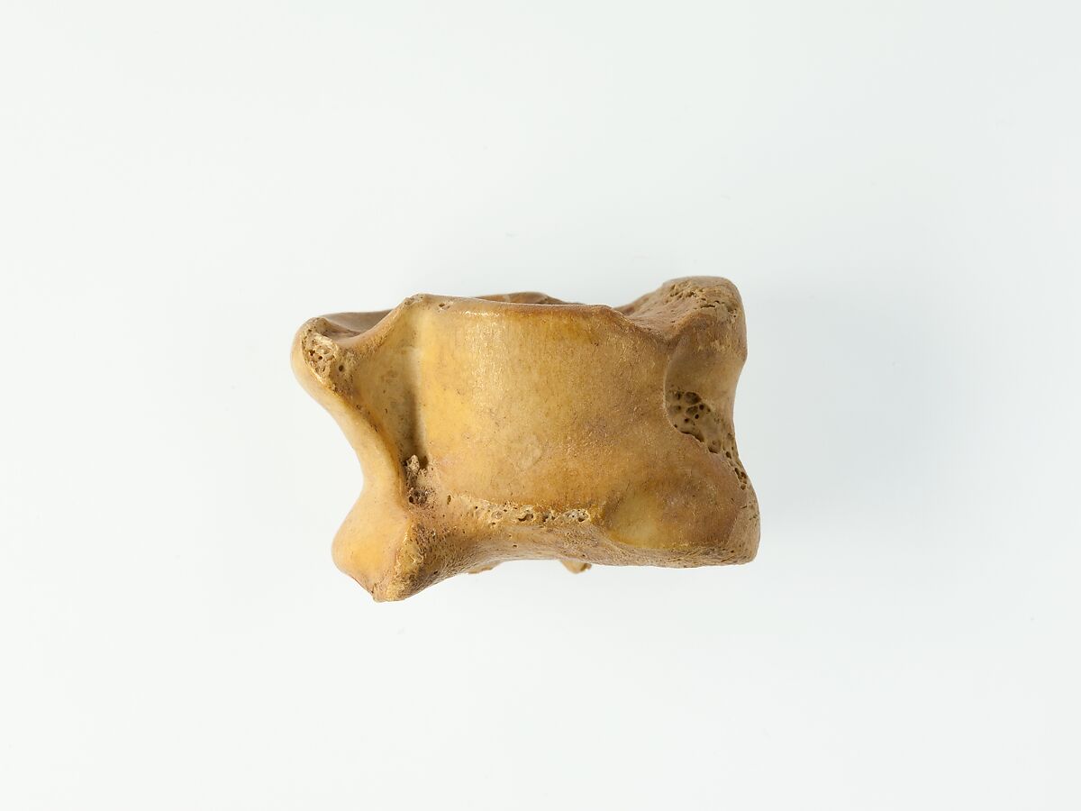 Three Knuckle bone Gaming Pieces, Bone