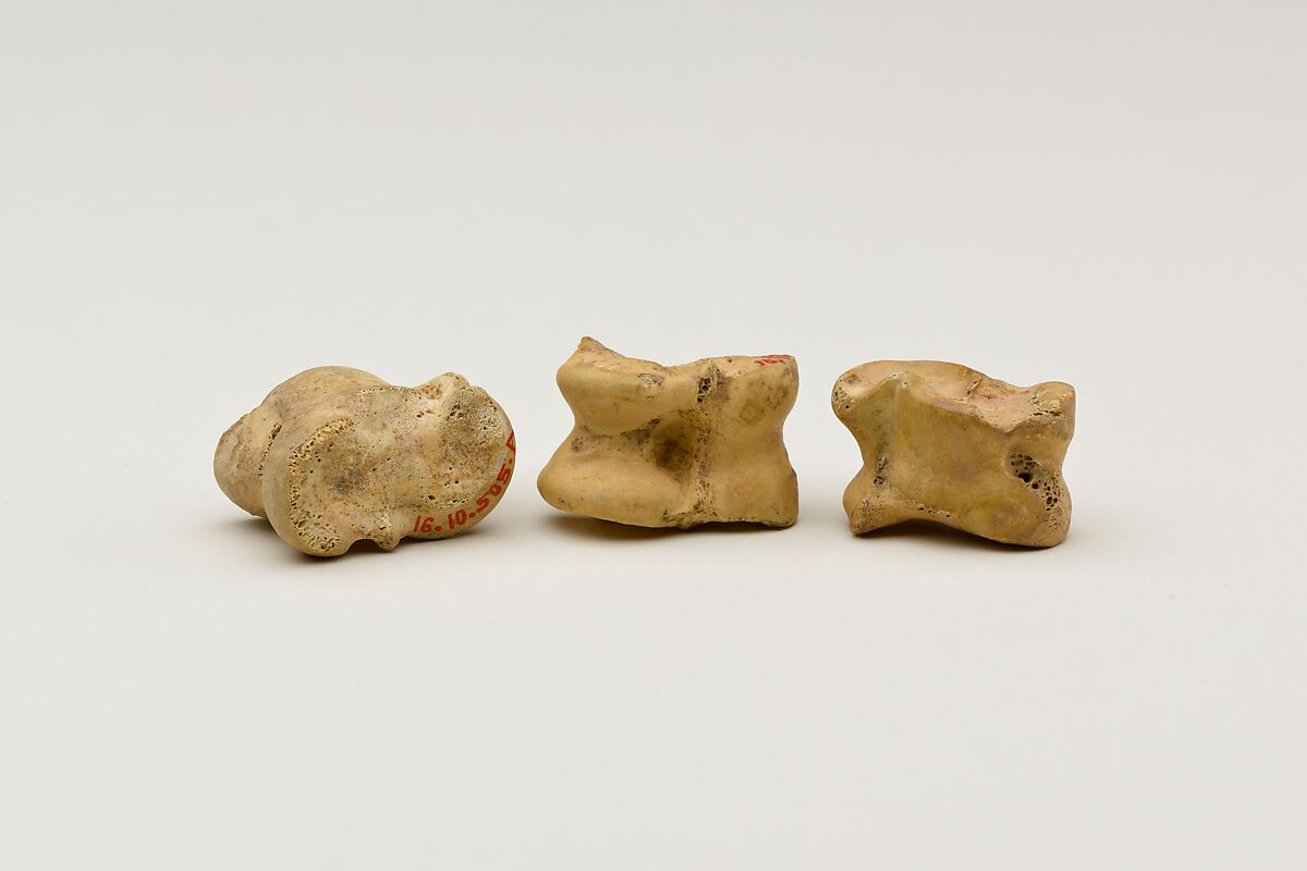Three Knuckle bone Gaming Pieces, Bone