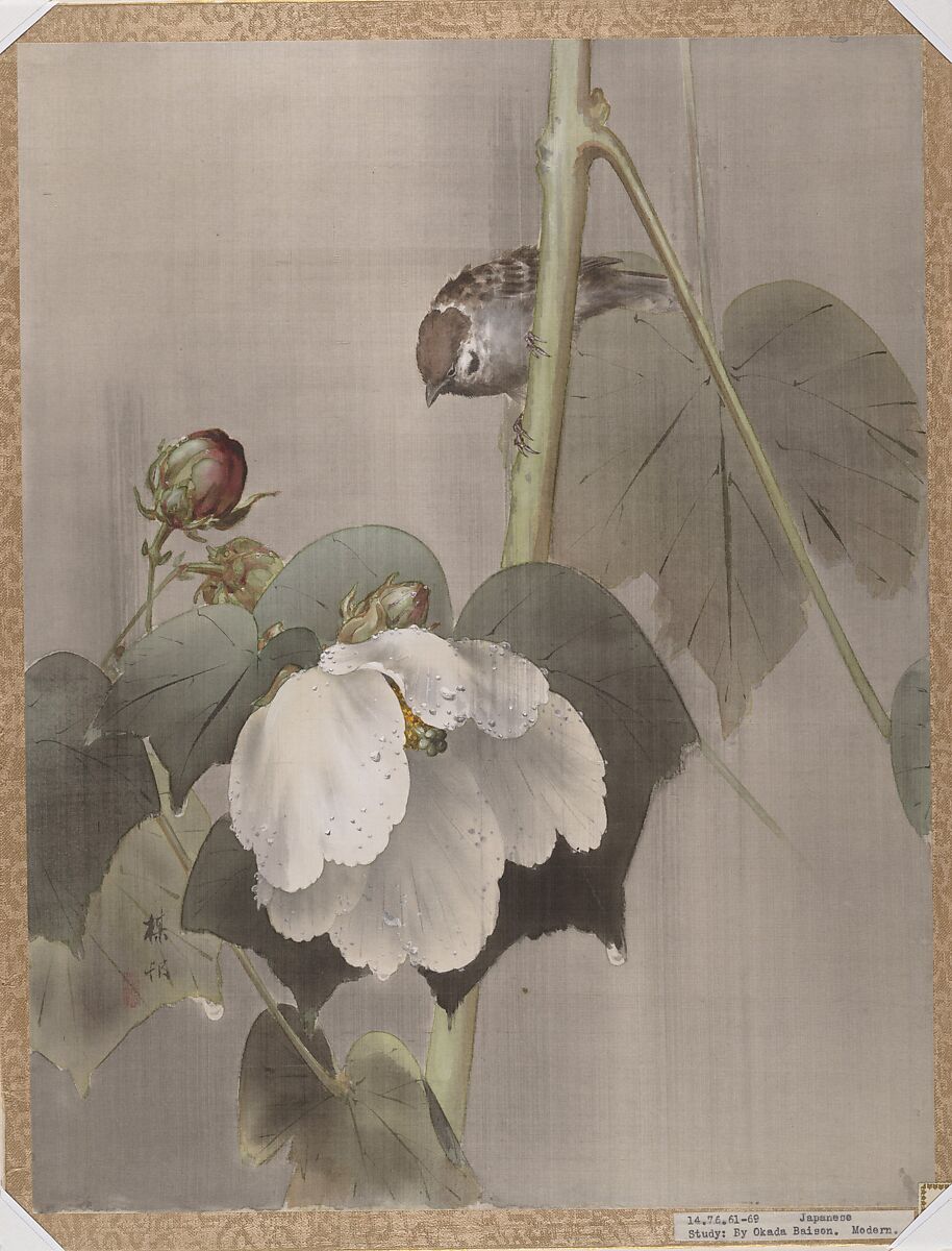 Cotton Rose Mallows in the Rain, Okada Baison (Japanese, 1864–1913), Album leaf; ink and color on silk, Japan 