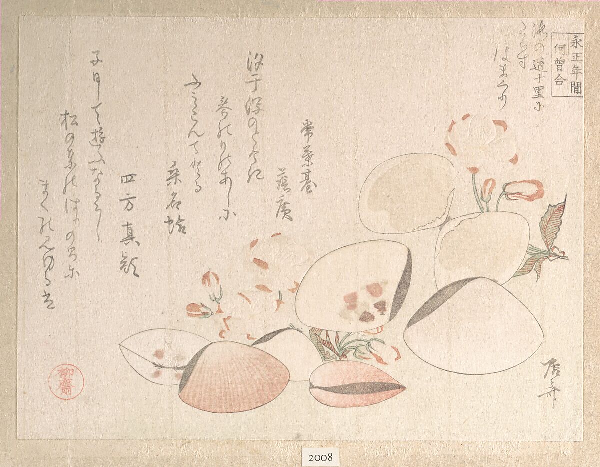 Cherry Blossoms and Shells, Ryūryūkyo Shinsai (Japanese, active ca. 1799–1823), Woodblock print (surimono); ink and color on paper, Japan 