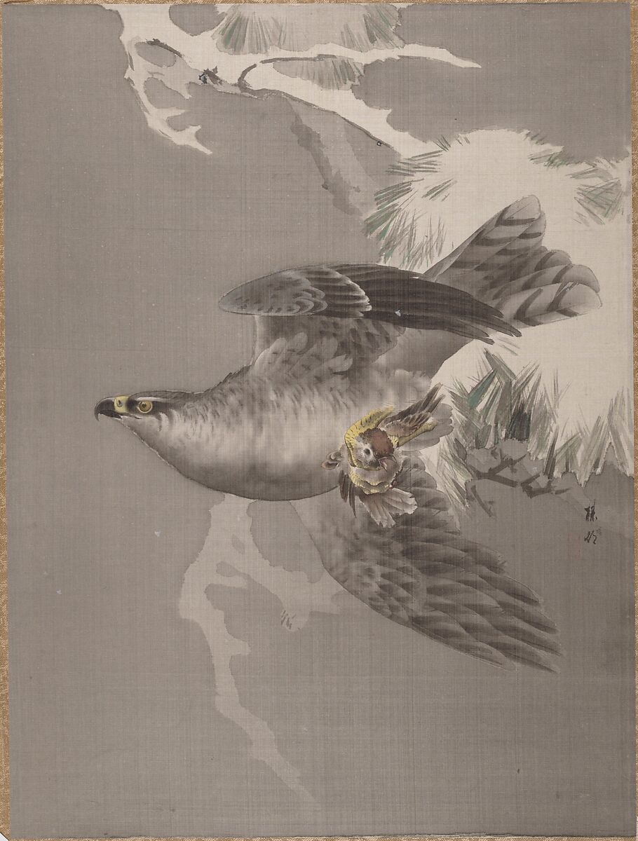 Hawk Holding a Small Bird, Okada Baison (Japanese, 1864–1913), Album leaf; ink and color on silk, Japan 