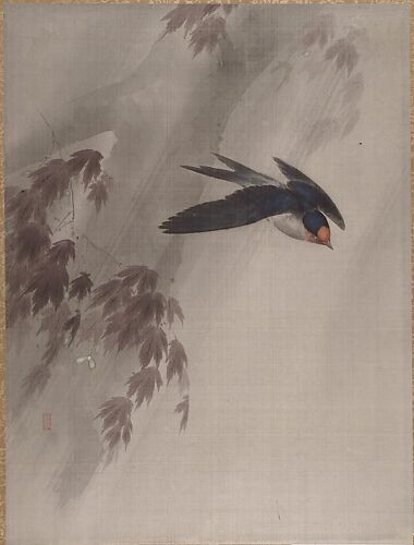 A Swallow in the Rain