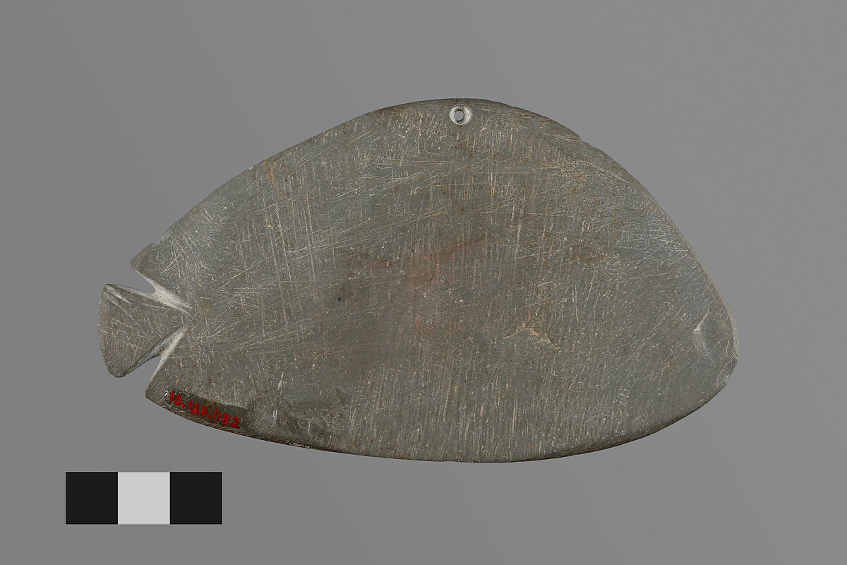 Palette in the shape of a fish, Greywacke