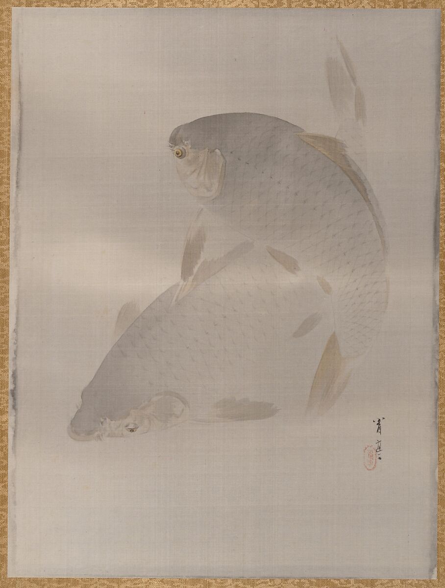 Carp swimming, Watanabe Seitei (Japanese, 1851–1918), Album leaf; ink and color on silk, Japan 