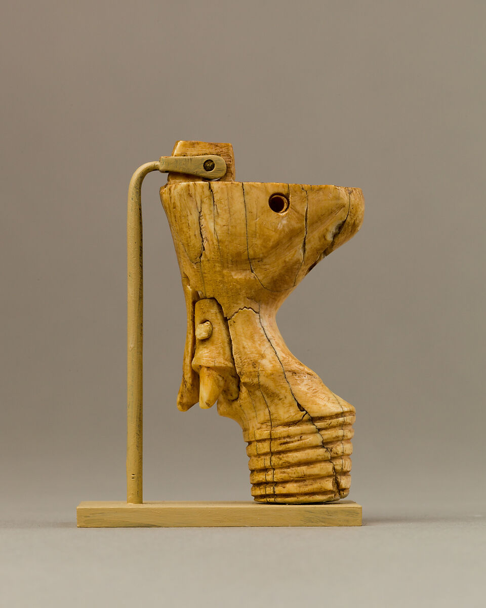 Furniture Leg, Ivory (elephant) 