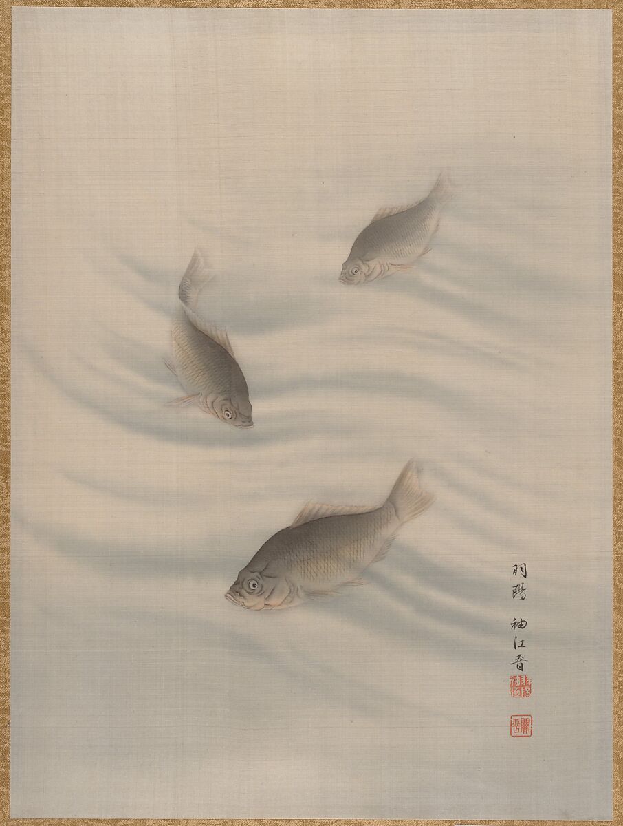 Fishes Swimming, Seki Shūkō (Japanese, 1858–1915), Album leaf; ink and color silk, Japan 