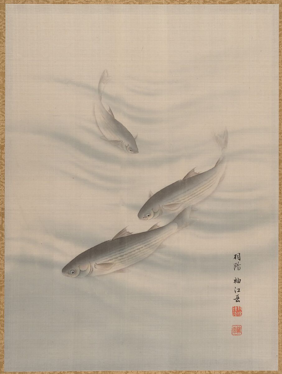 Fishes Swimming, Seki Shūkō (Japanese, 1858–1915), Album leaf; ink and color silk, Japan 