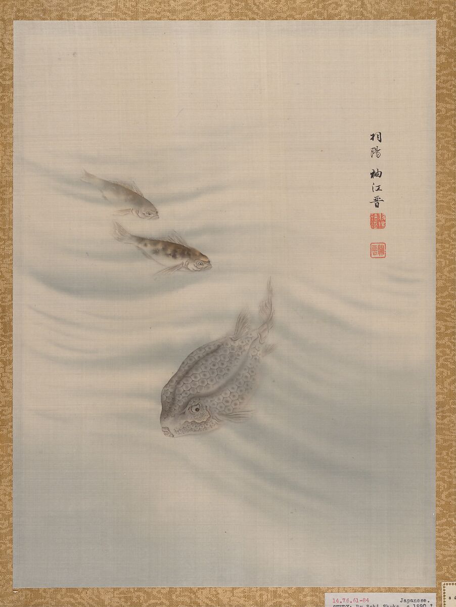 Fishes, Seki Shūkō (Japanese, 1858–1915), Album leaf; ink and color silk, Japan 