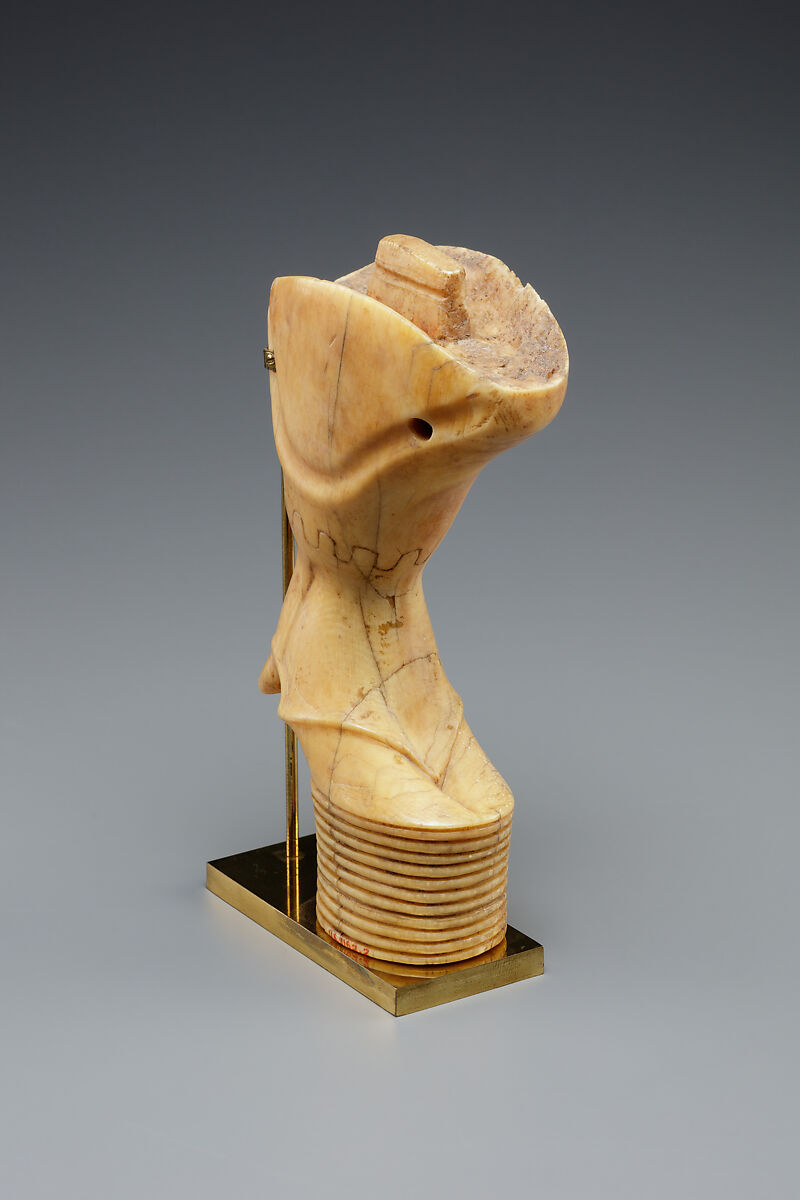 Bull's leg, Ivory