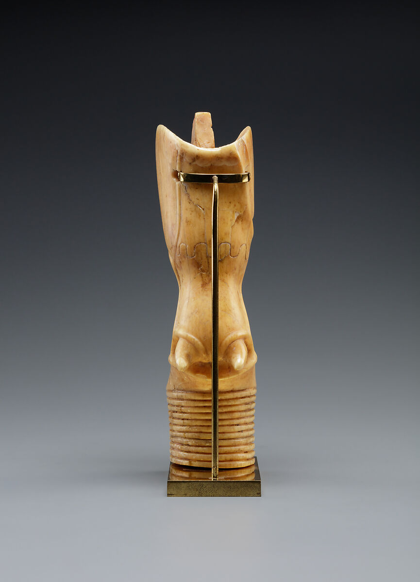 Bull's leg, Ivory