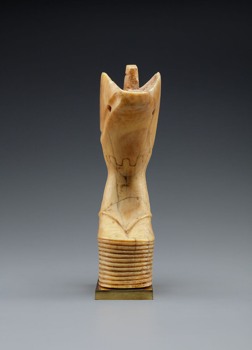 Bull's leg, Ivory