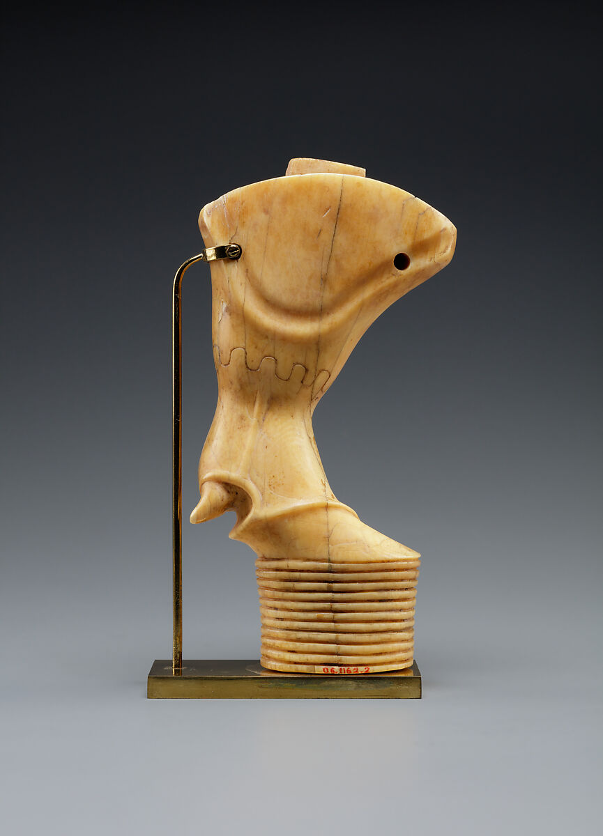Bull's leg, Ivory