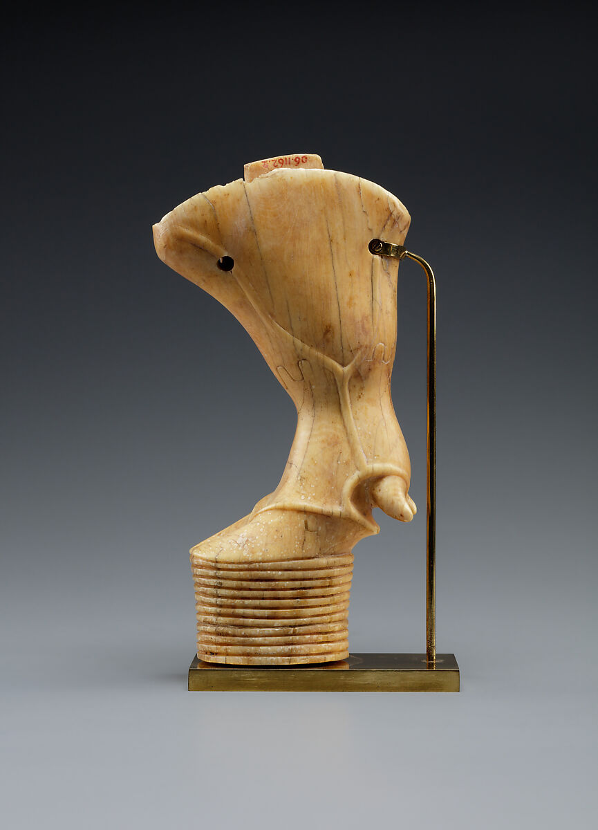 Bull's leg, Ivory 