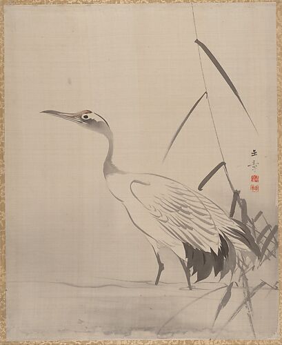 Crane Among Reeds