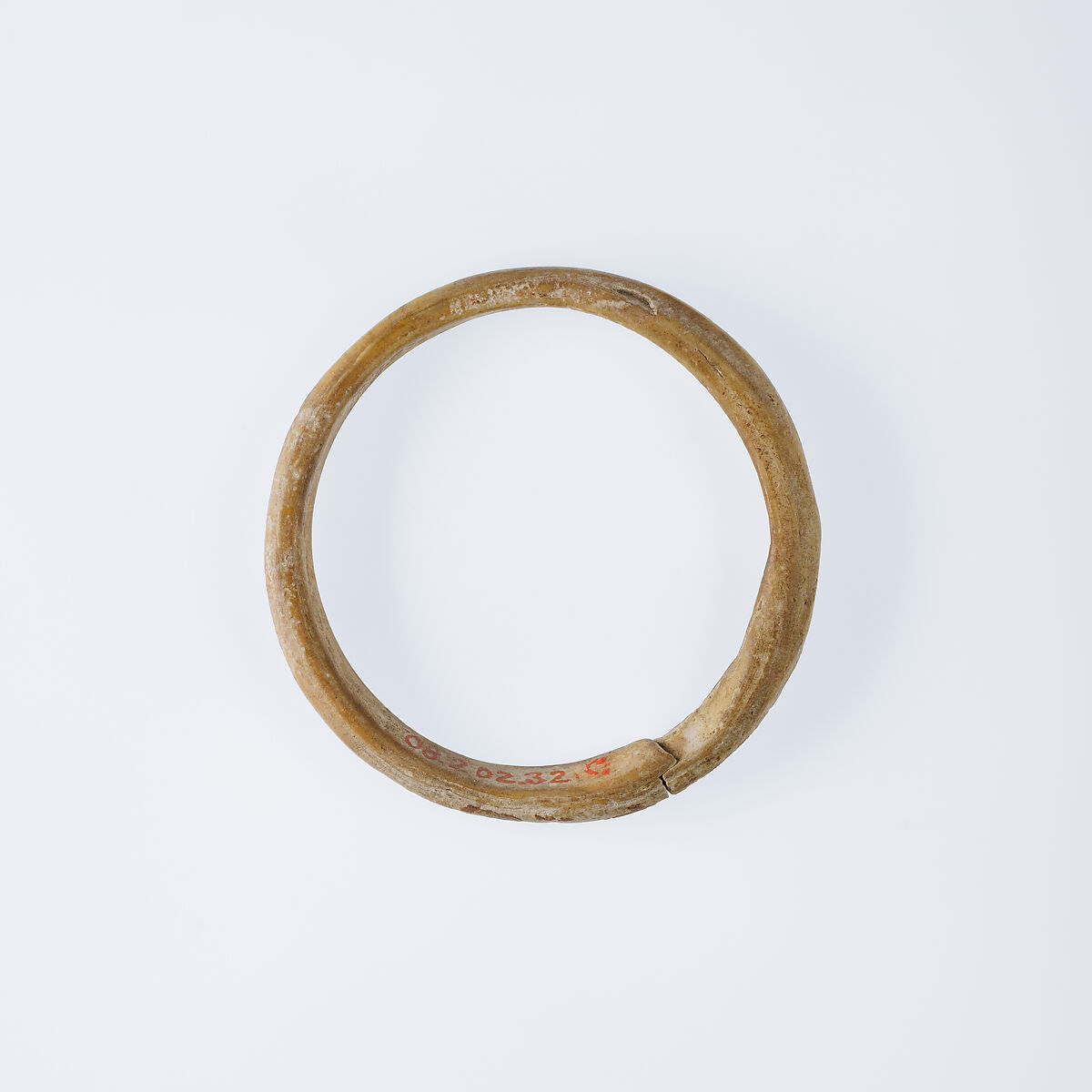Bangle, Shell (marine)