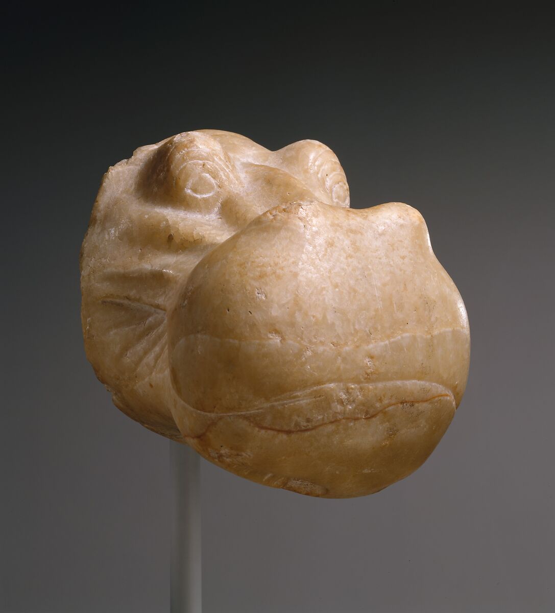 Head of a Hippopotamus, Travertine (Egyptian alabaster) with traces of gesso and red pigment 