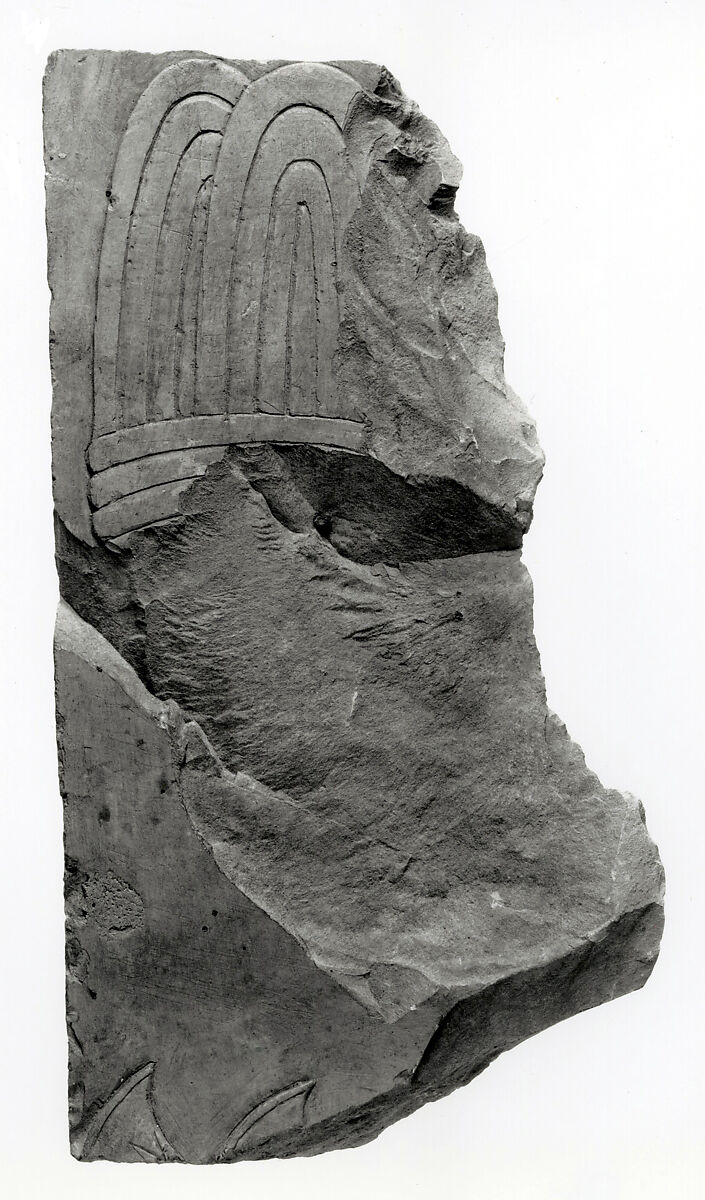 Raised relief fragment, Limestone, varnish