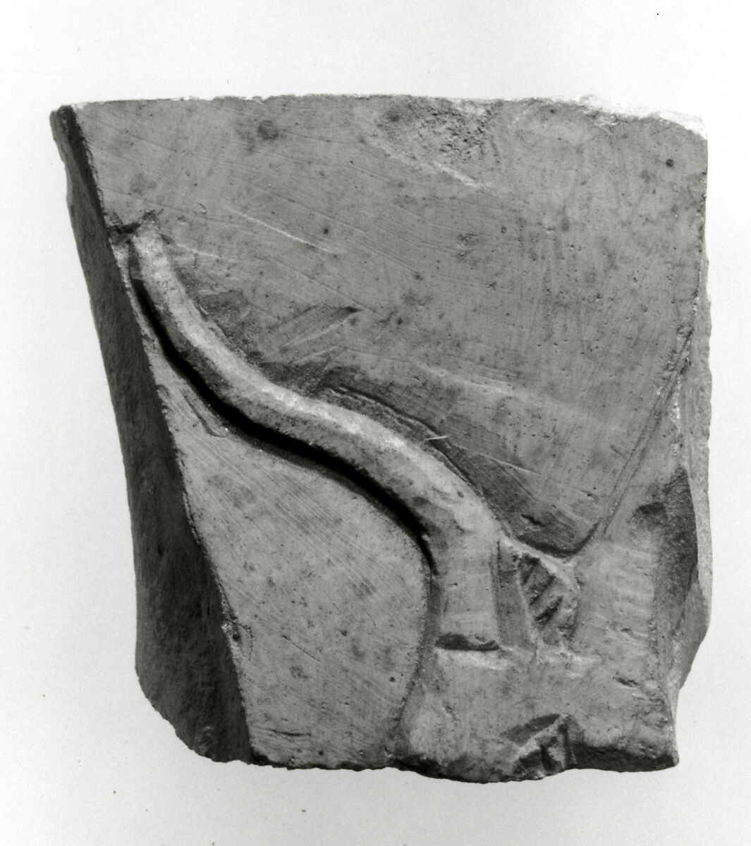 Raised relief fragment, Limestone, varnish 