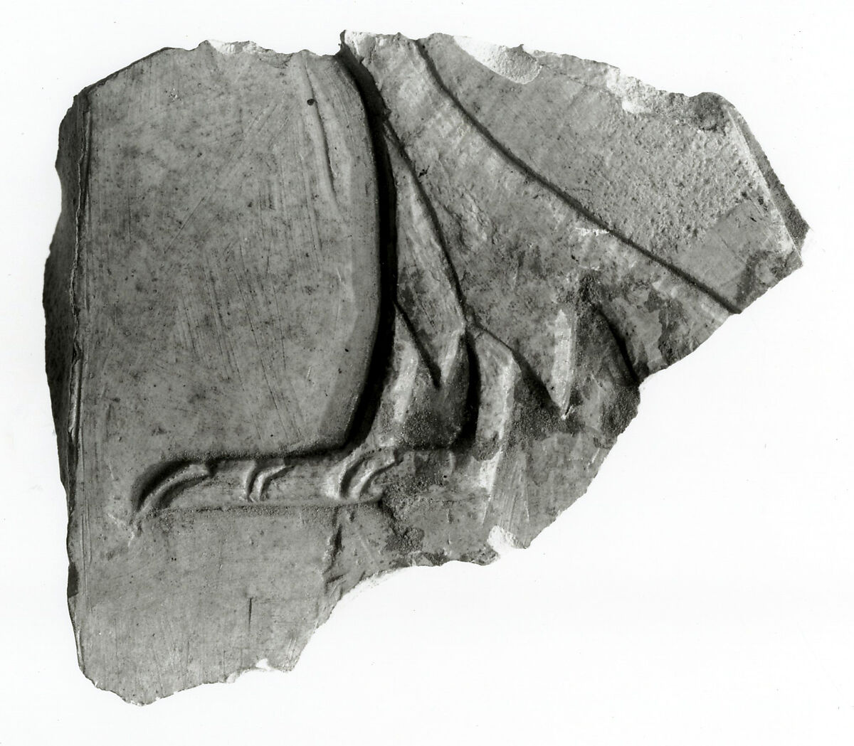 Raised relief fragment, Limestone, varnish 