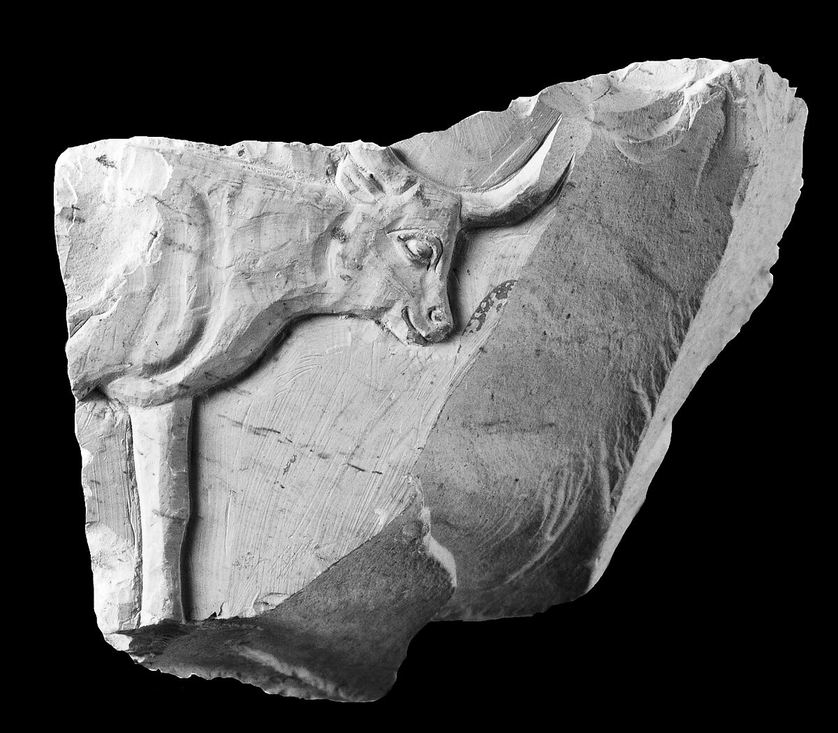 Raised relief fragment, Limestone, stains
