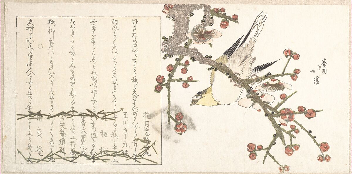 Bush Warbler on a Plum Branch (Ume ni uguisu), Totoya Hokkei (Japanese, 1780–1850), Woodblock print (surimono); ink and color on paper, Japan 