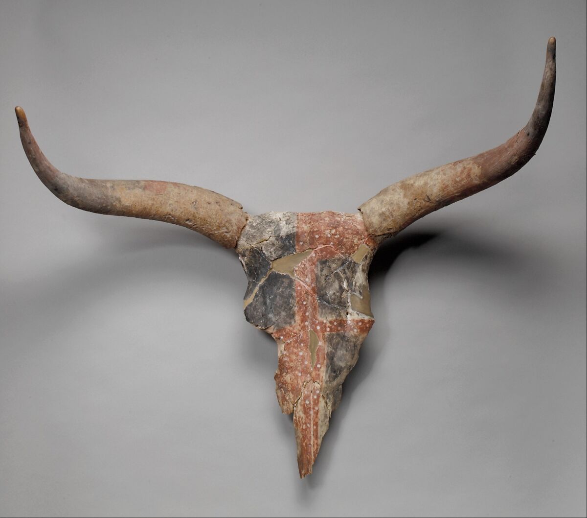 Bucranium, Horn, bone, paint 