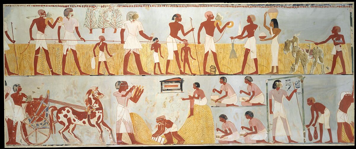 Harvest Scenes, Tomb of Menna, Charles K. Wilkinson, Tempera on paper 