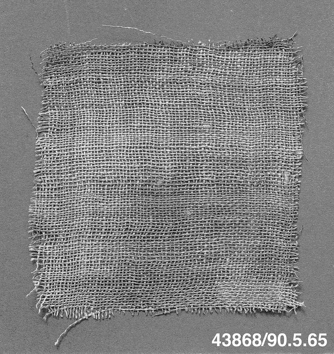 Mummy Cloth Fragment, Linen 