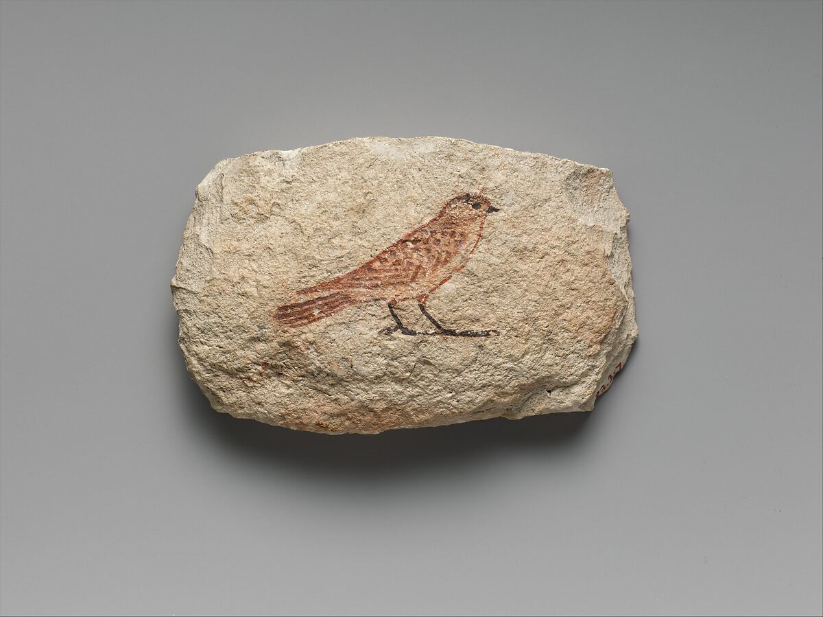 Artist's Sketch of a Sparrow | New Kingdom | The Metropolitan