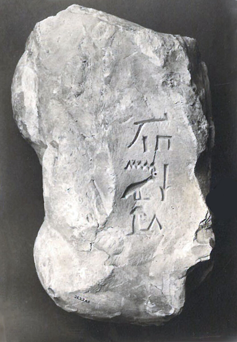 Name Stone of Senenmut, Limestone 
