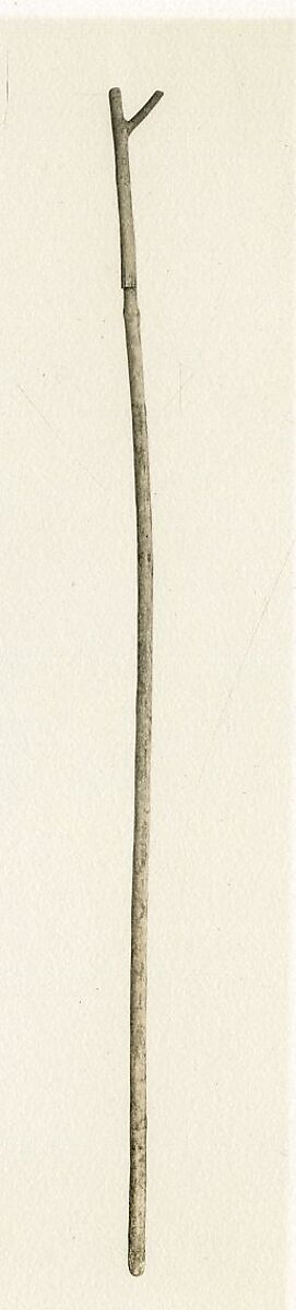 Staff of  Amenhotep, Wood