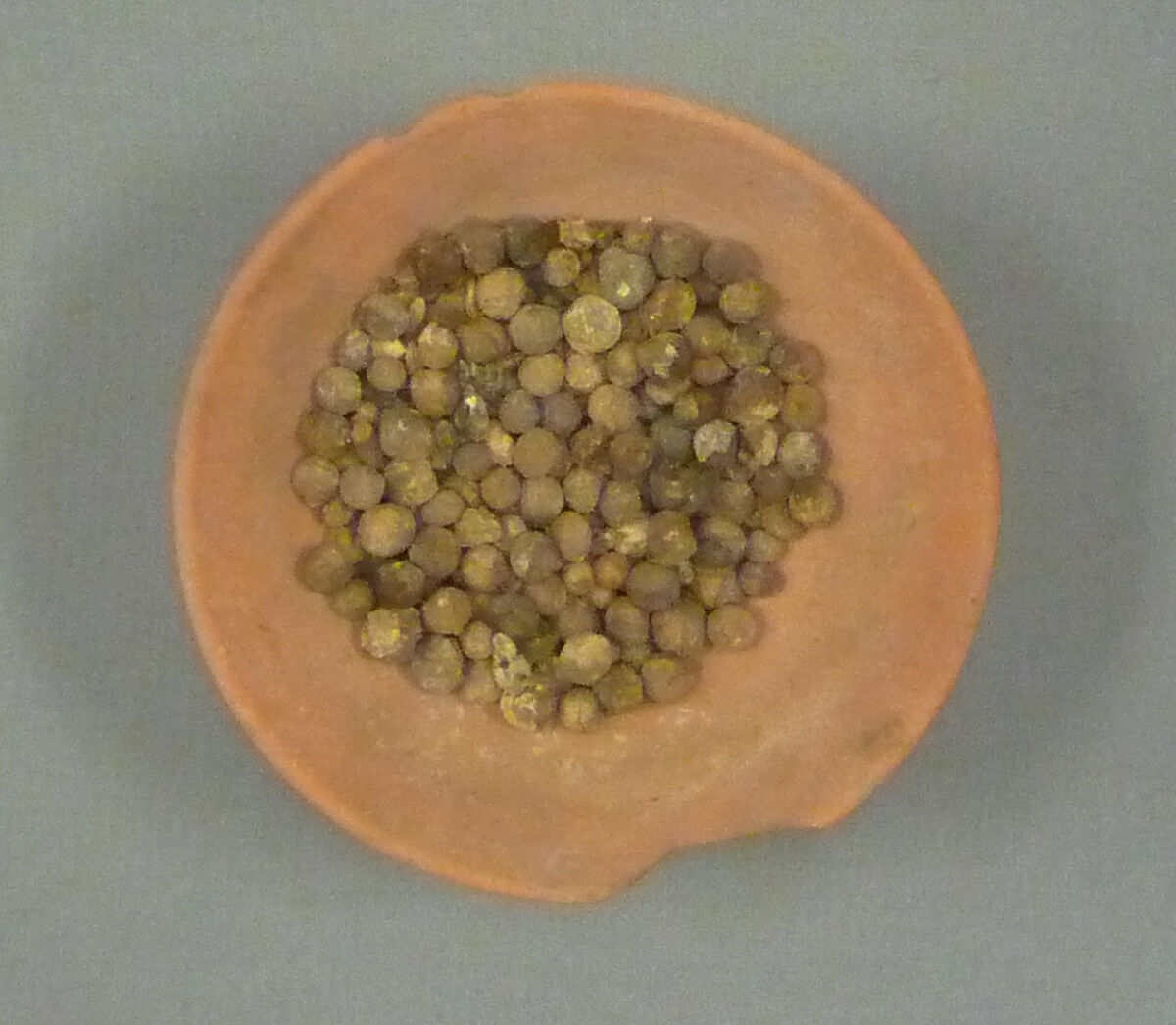 Bowl of Jujube Berries, Pottery, jujube berries 