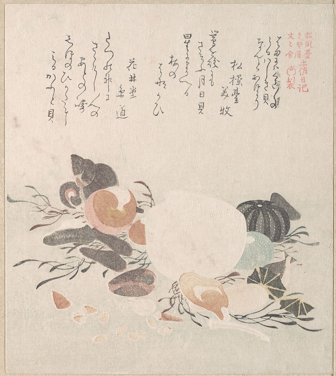 Various Shells with Sea Weeds, Kubo Shunman (Japanese, 1757–1820) (?), Woodblock print (surimono); ink and color on paper, Japan 