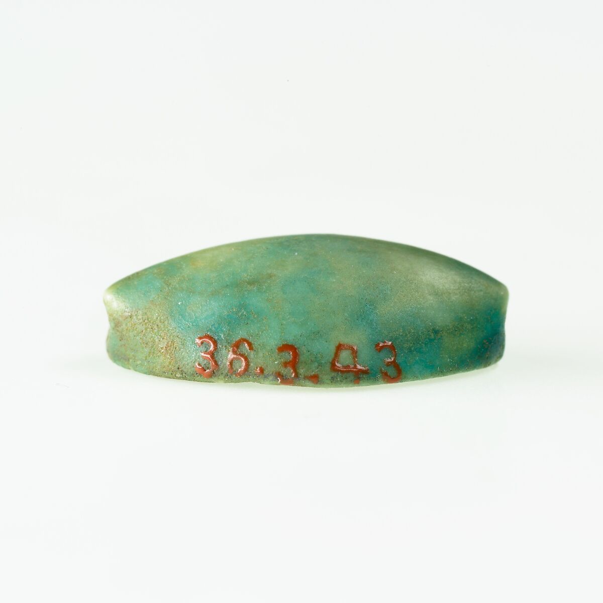 Cowroid Seal-Amulet, Glazed steatite