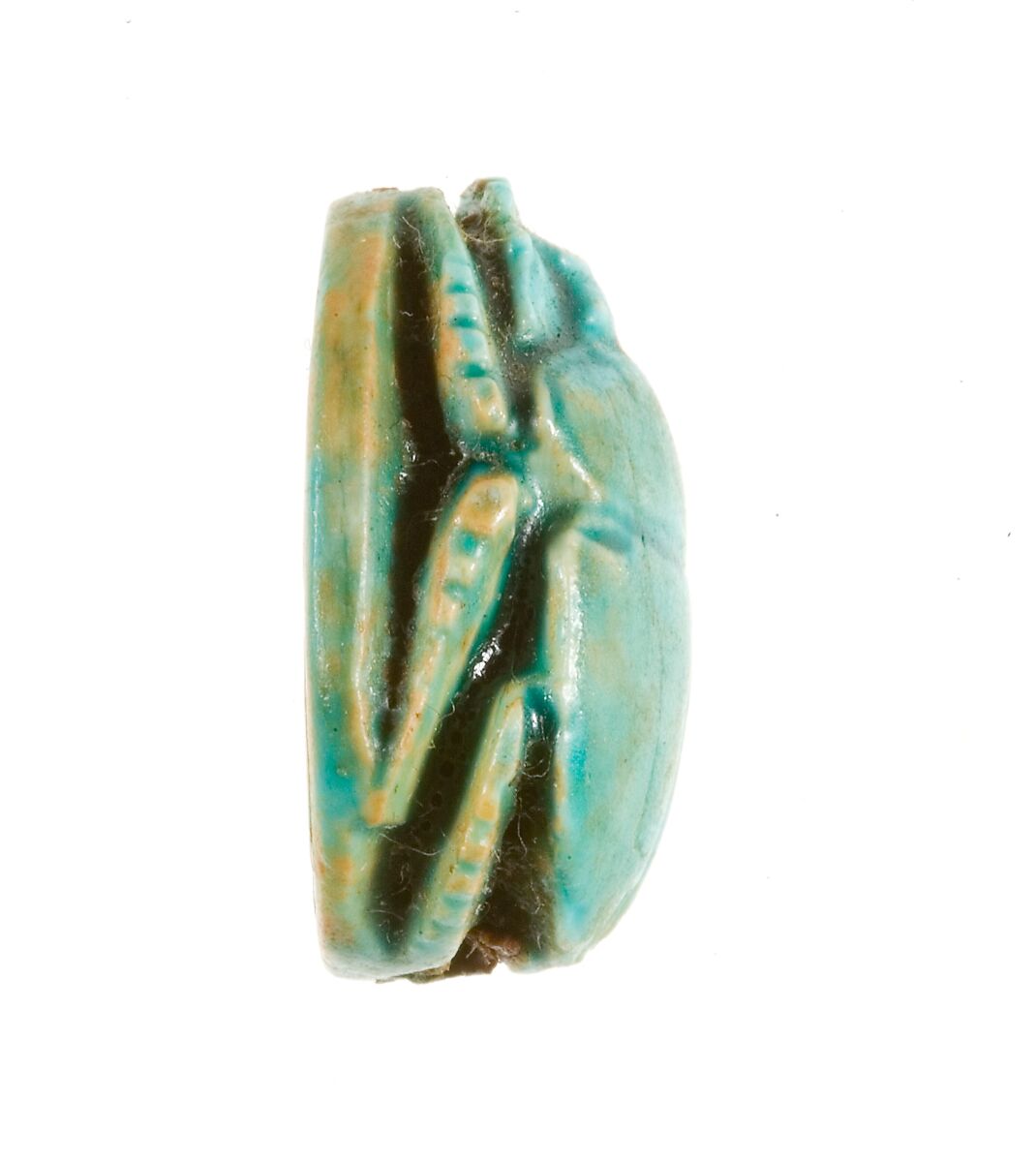 Scarab Inscribed Hatshepsut-United-with-Amun, Steatite (glazed)
