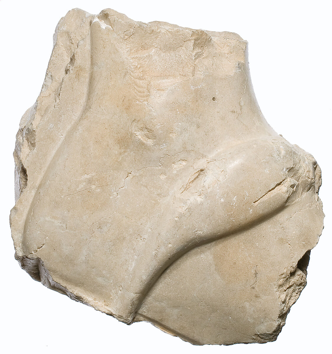 Foot fragment, striding, Indurated limestone 