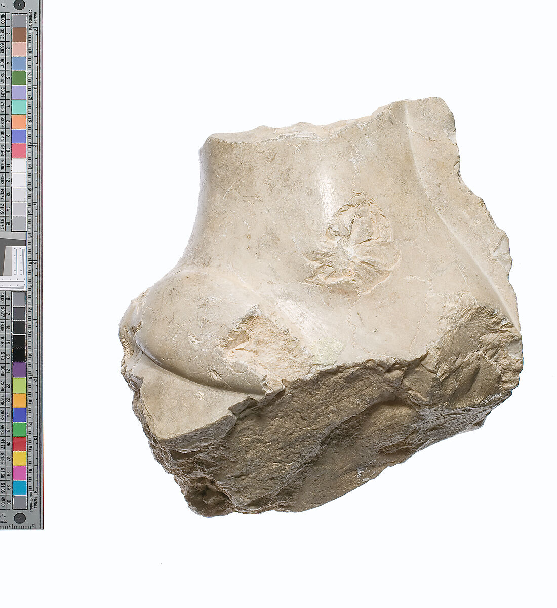 Foot fragment, striding, Indurated limestone