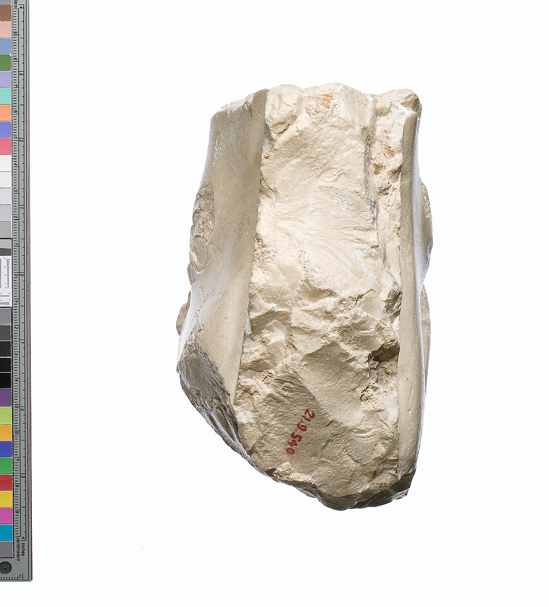 Foot fragment, striding, Indurated limestone