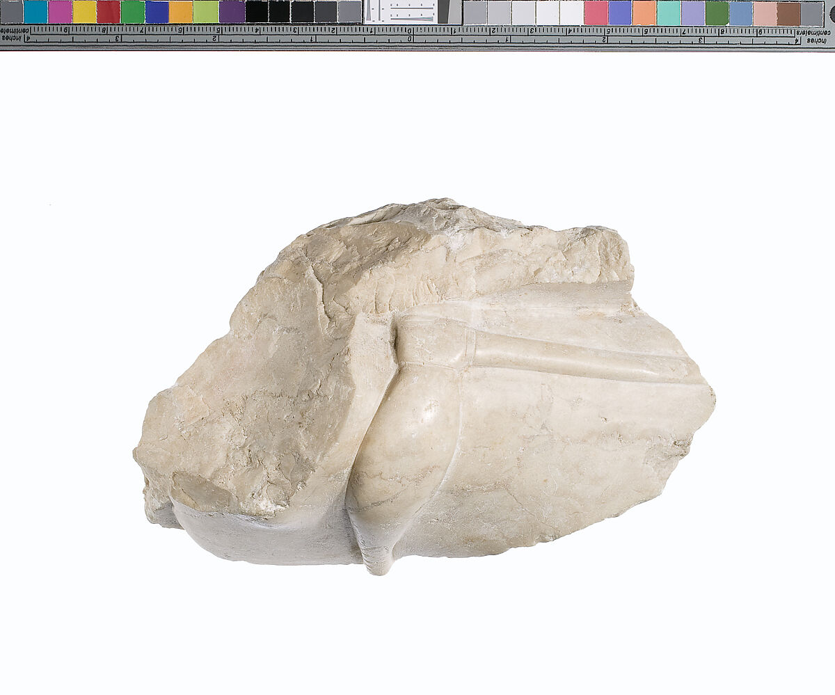 Foot fragment, Indurated limestone