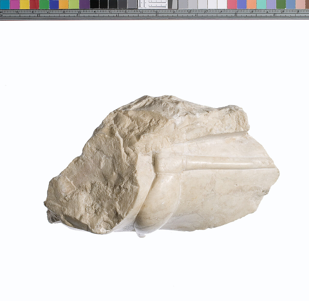 Foot fragment, Indurated limestone