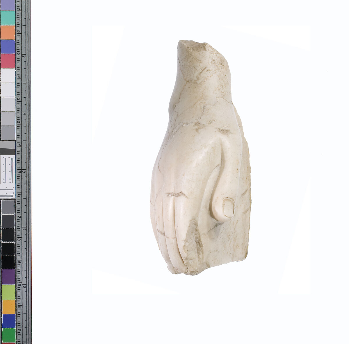 Hand, Indurated limestone