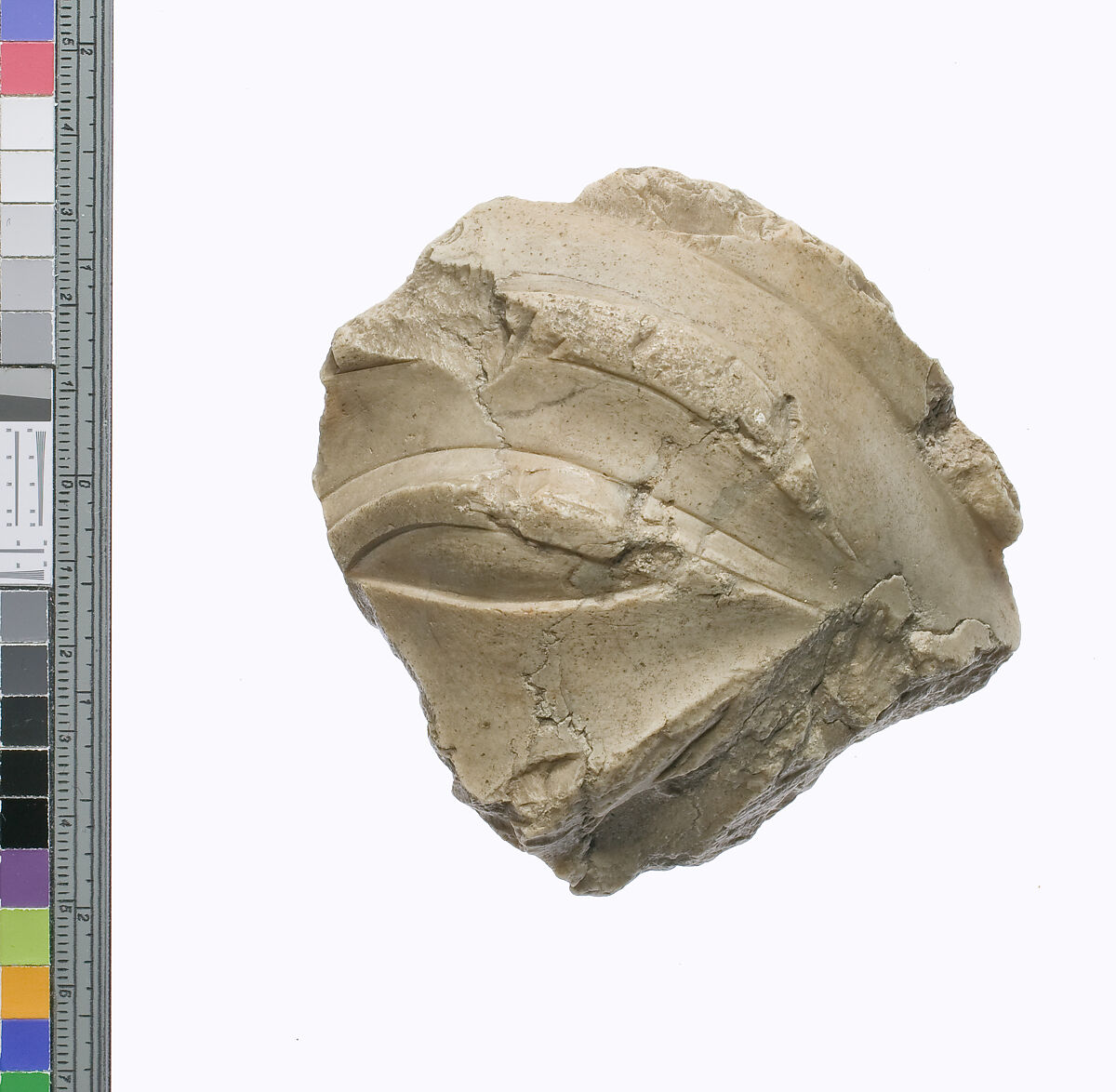Right eye and brow from head of king in the 'blue' crown, Indurated limestone