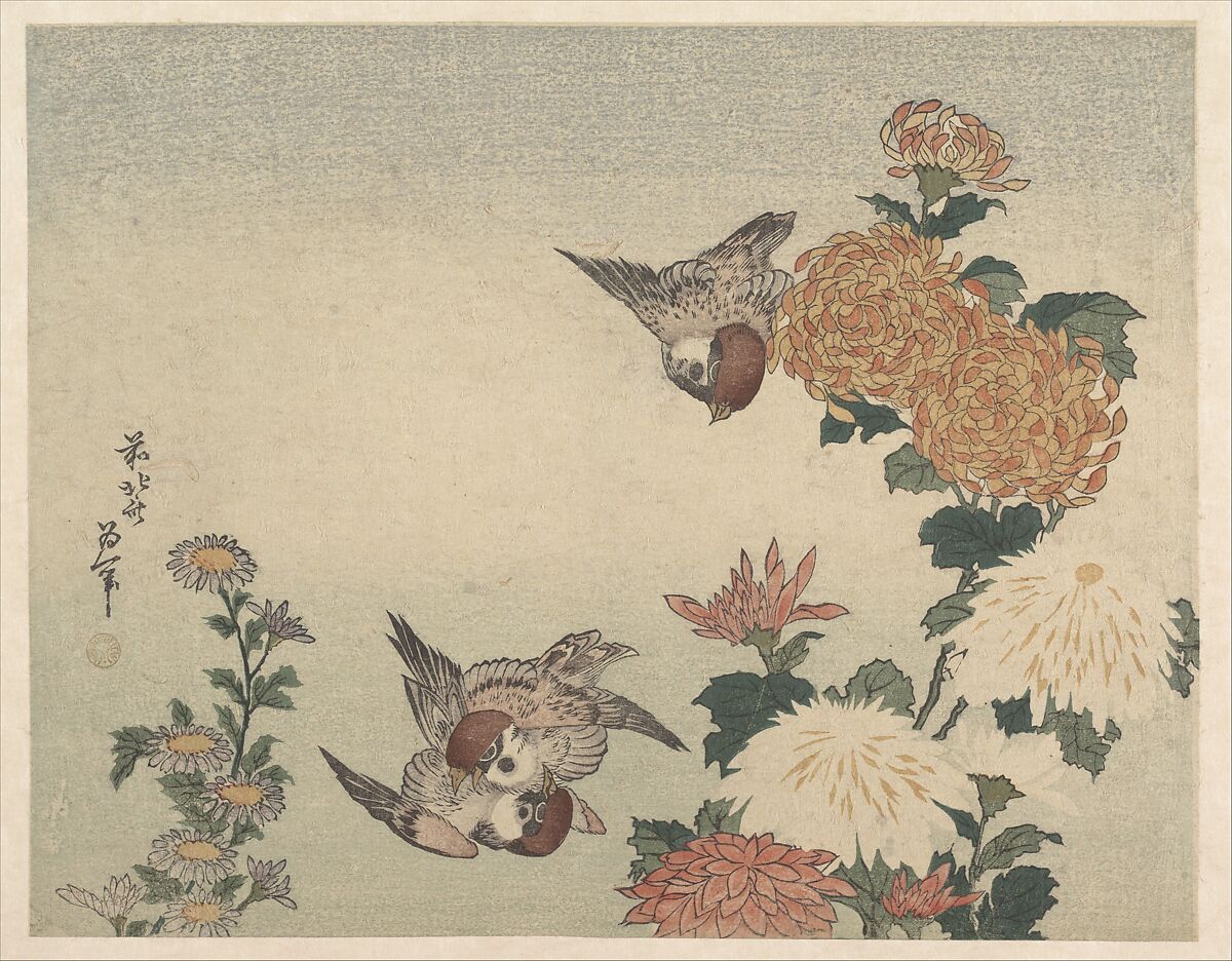 Sparrows and Chrysanthemums, Katsushika Hokusai (Japanese, Tokyo (Edo) 1760–1849 Tokyo (Edo)), Woodblock print; ink and color on paper, Japan 