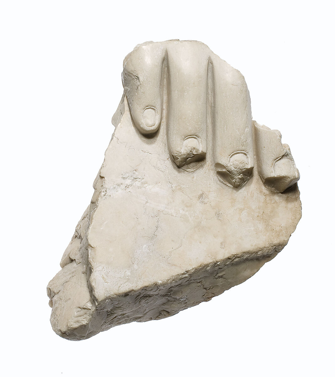 Toe fragment, Indurated limestone 