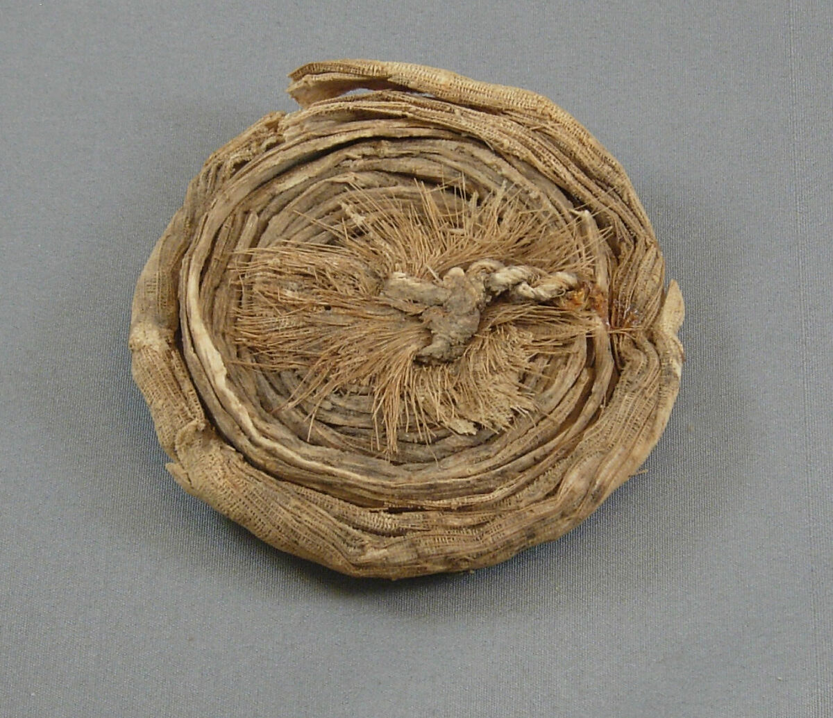 Papyrus Lid from Tutankhamun's Embalming Cache, Papyrus fiber
